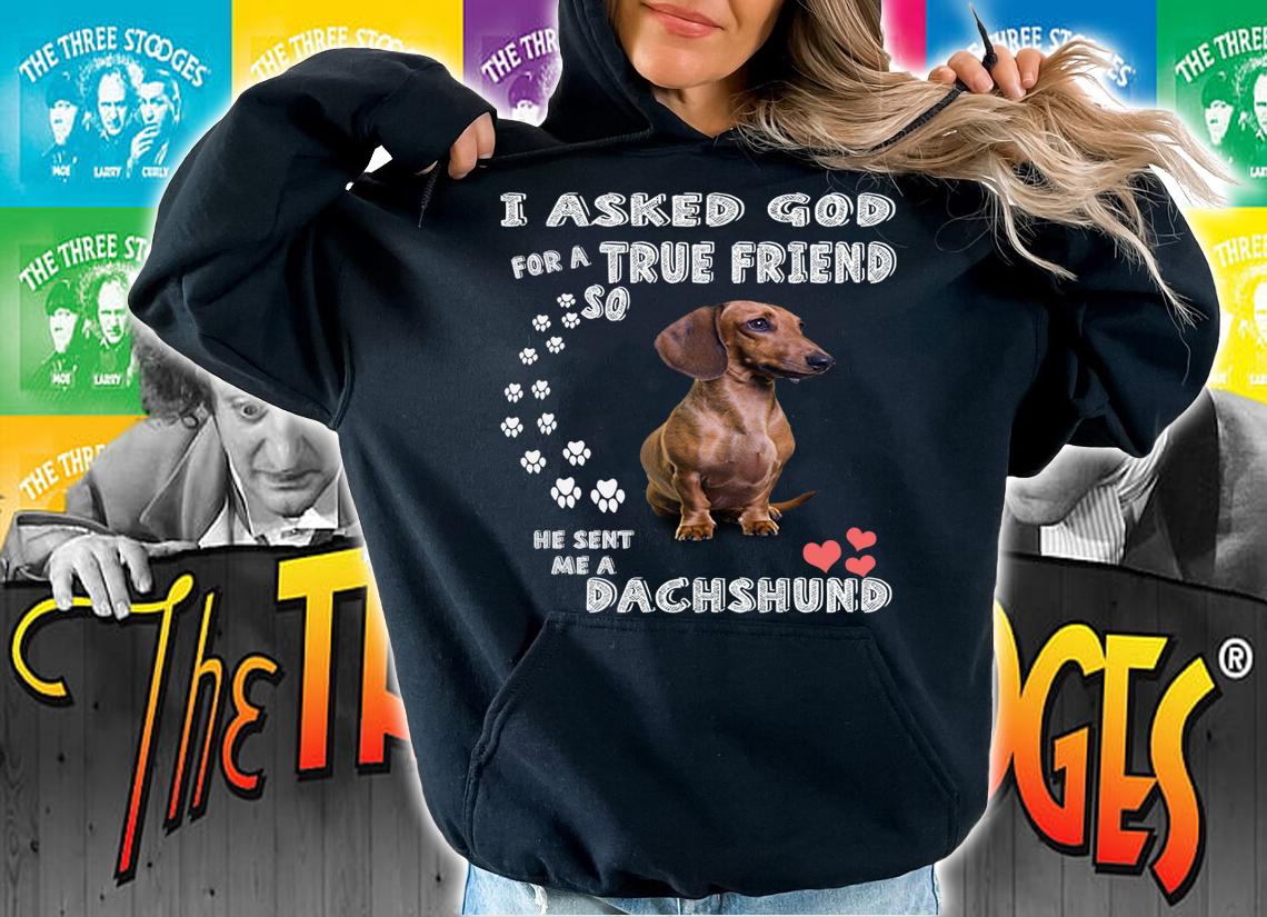Dachshund, dachshund gifts, Dachshund Christmas t-shirt hoodie