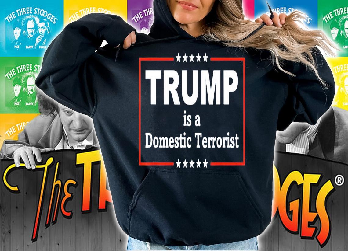 Trump Is A Domestic Terrorist T-Shirt t-shirt