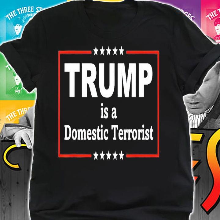 Trump Is A Domestic Terrorist T-Shirt t-shirt