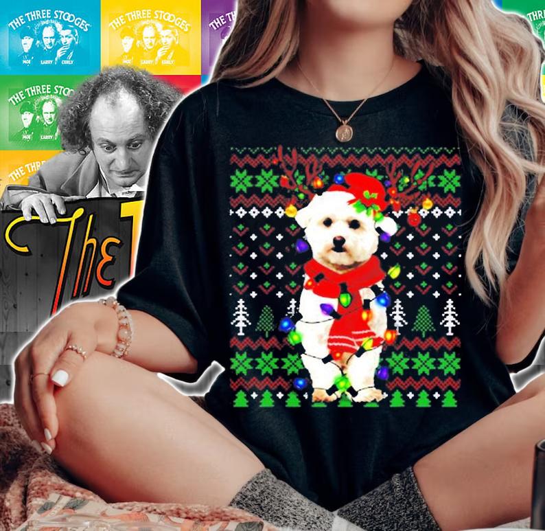 Bichon Frise Reindeer Santa Ugly Christmas Lights T-Shirt t-shirt woman shirt